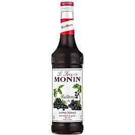 Monin Blackberry Böğürtlen Aromalı Şurup 70 CL