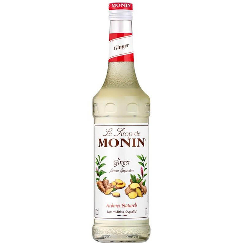 Monin Ginger Zencefil Aromalı Şurup 70 CL
